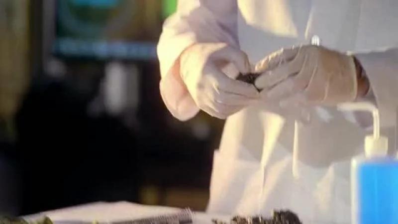 Кадры из сериала C.S.I.: Майами (2002)