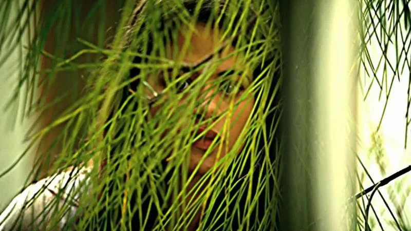 Кадры из сериала C.S.I.: Майами (2002)